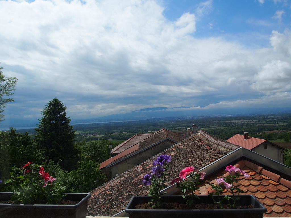 Les Lumieres De Geneve Bed and Breakfast Grilly Eksteriør billede